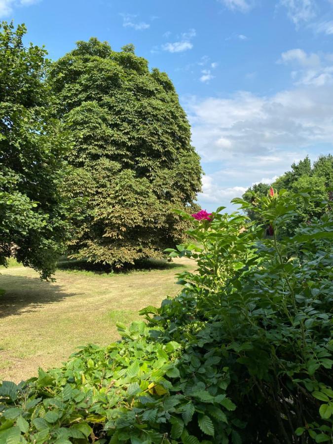 Altes Pastorat Schwichtenberg Borrentin ภายนอก รูปภาพ